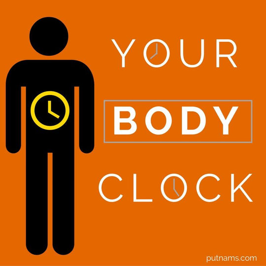 Your Body Clock : How To Set It Sleep Info