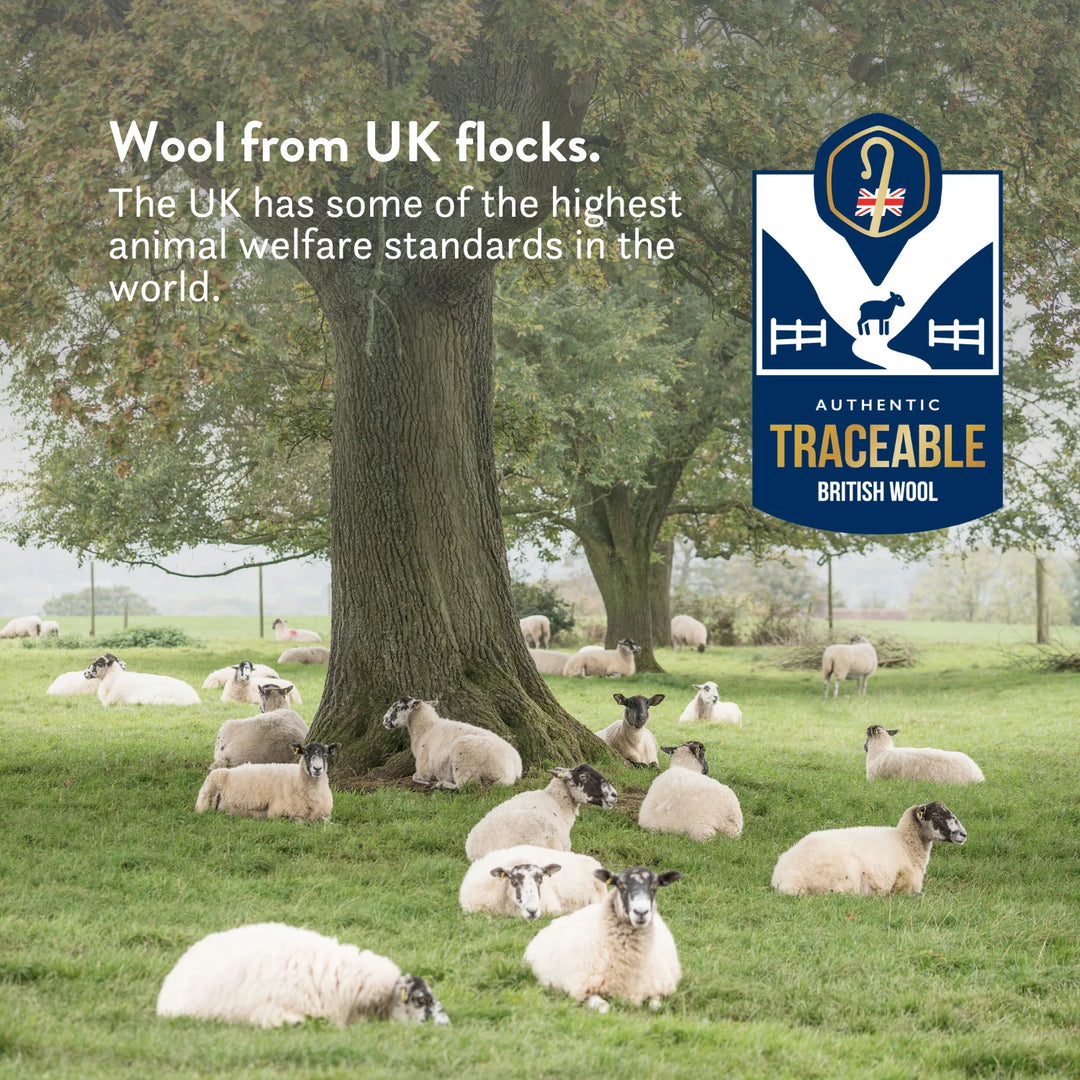 British Wool Contour Pillow - Natural, Anti-Allergy, Luxury Putnams Chemical free UK Best Wool pillow 100% cotton OEKO tex standard 100 handmade in the UK