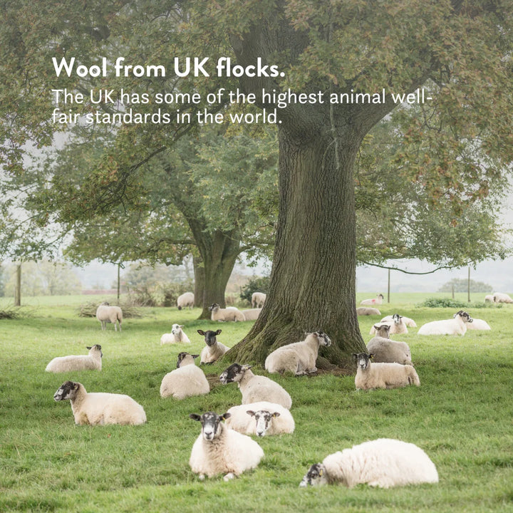 Wool from UK flocks. High animal ell-fair standards.