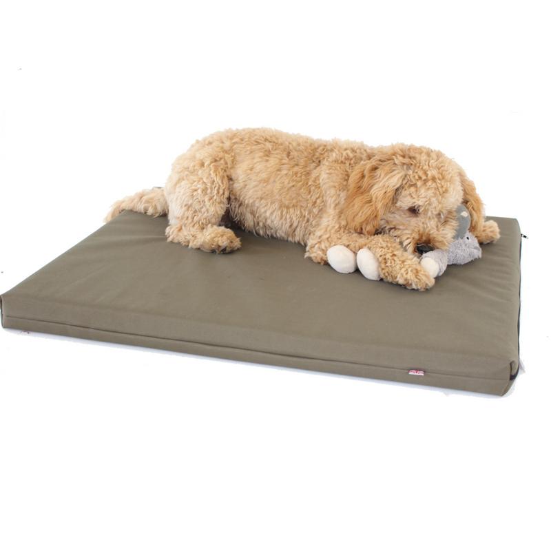 Memory Foam Dog Bed - Putnams