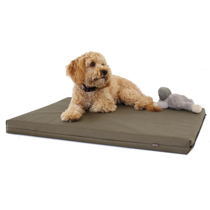 Memory Foam Dog Bed - Putnams